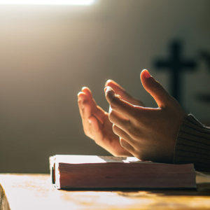 Fiesta de la Virgen del Pilar. Domingo XXVIII del tiempo ordinario